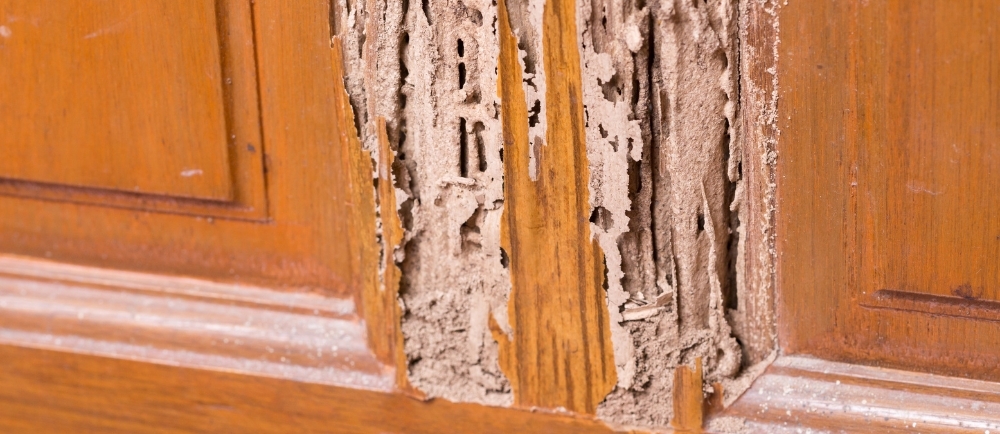 img of Identificando Vícios Aparentes e Ocultos na Obras