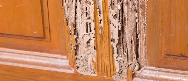 img of Identificando Vícios Aparentes e Ocultos na Obras